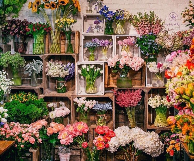 Çiçekçi Dükkanı Açmak İçin Gereken Belgeler 
