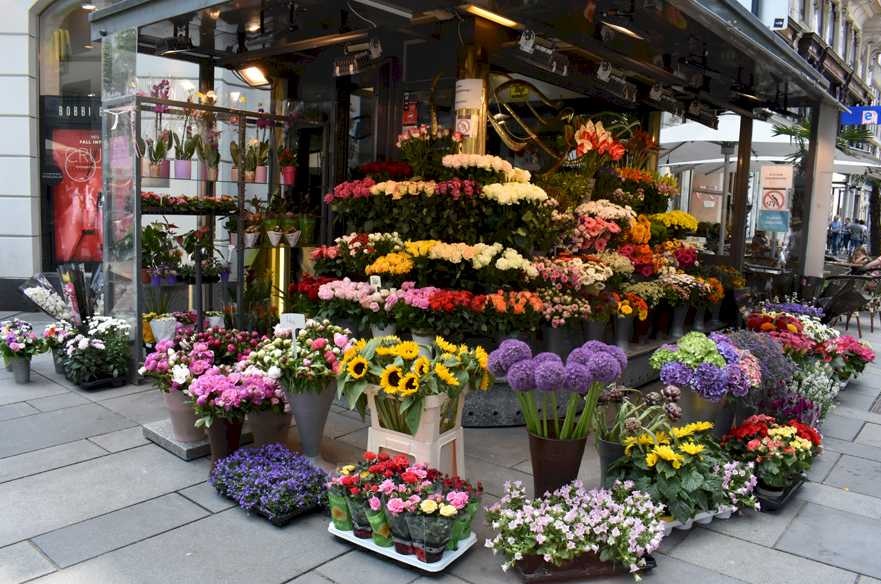 Çiçekçi dükkanı açma maliyeti ne kadar? 