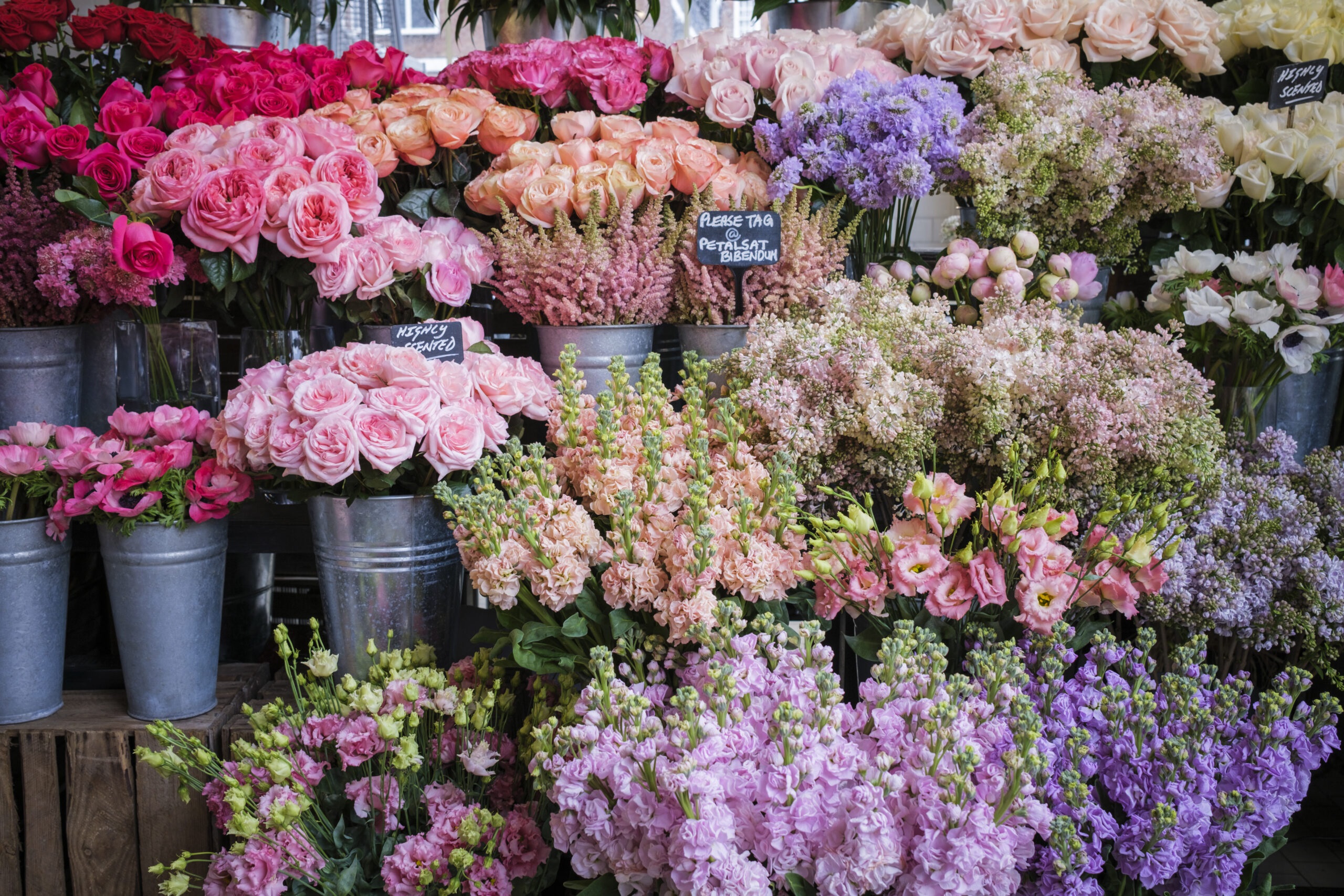 Çiçekçi dükkanı açma maliyeti ne kadar? 